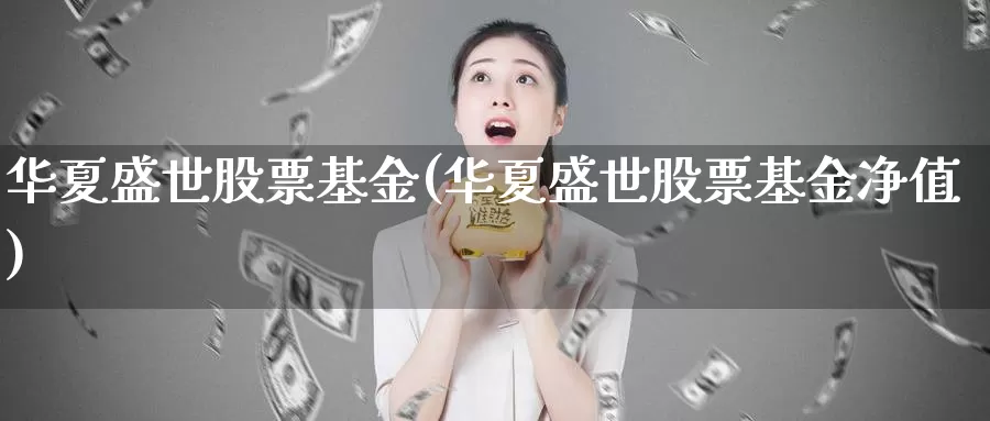 华夏盛世股票基金(华夏盛世股票基金净值)_https://www.zzcnk.com_理财_第1张