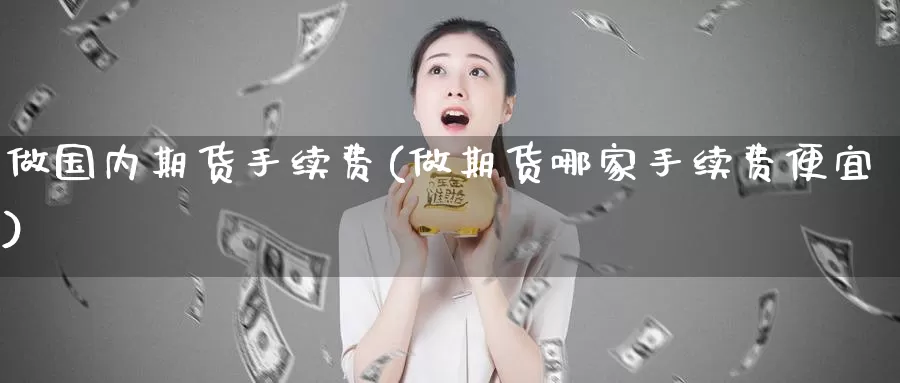 做国内期货手续费(做期货哪家手续费便宜)_https://www.zzcnk.com_恒生指数_第1张