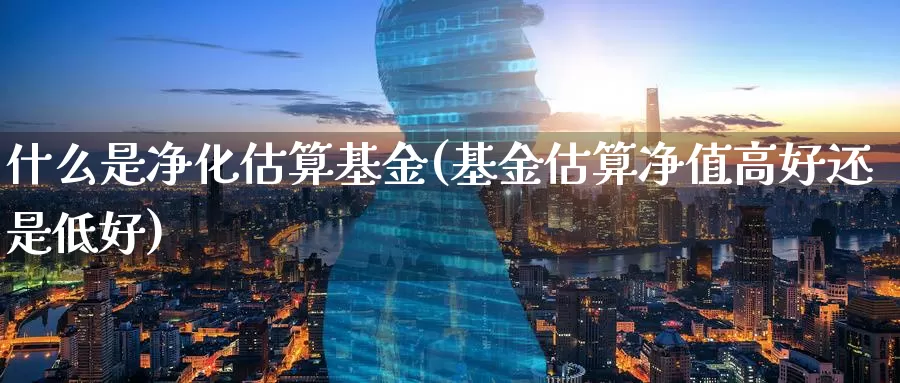 什么是净化估算基金(基金估算净值高好还是低好)_https://www.zzcnk.com_基金_第1张