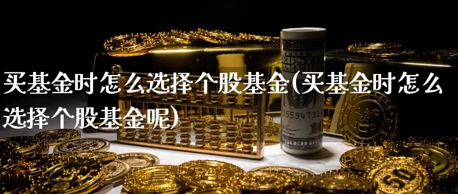 买基金时怎么选择个股基金(买基金时怎么选择个股基金呢)_https://www.zzcnk.com_基金_第1张