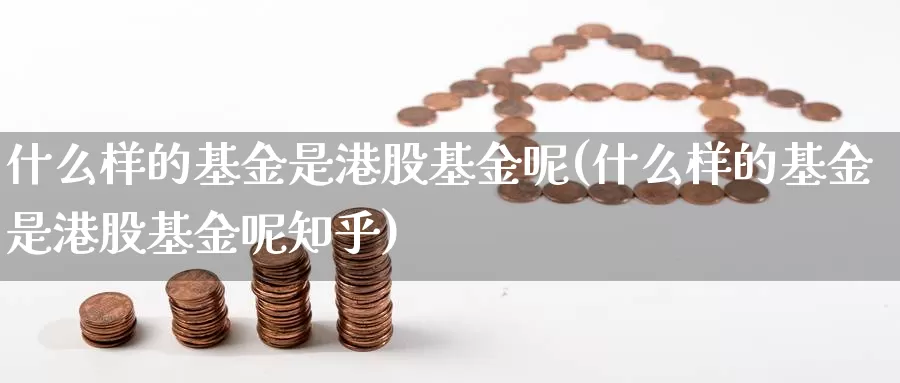 什么样的基金是港股基金呢(什么样的基金是港股基金呢知乎)_https://www.zzcnk.com_基金_第1张