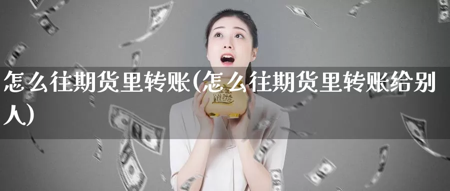 怎么往期货里转账(怎么往期货里转账给别人)_https://www.zzcnk.com_纳指期货_第1张