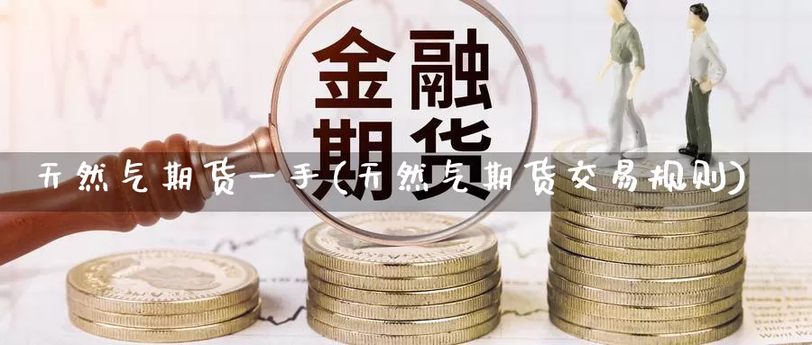 天然气期货一手(天然气期货交易规则)_期货直播_第1张_国际期货直播室 天然气期货一手(天然气期货交易规则)_https://www.zzcnk.com_期货直播_第1张