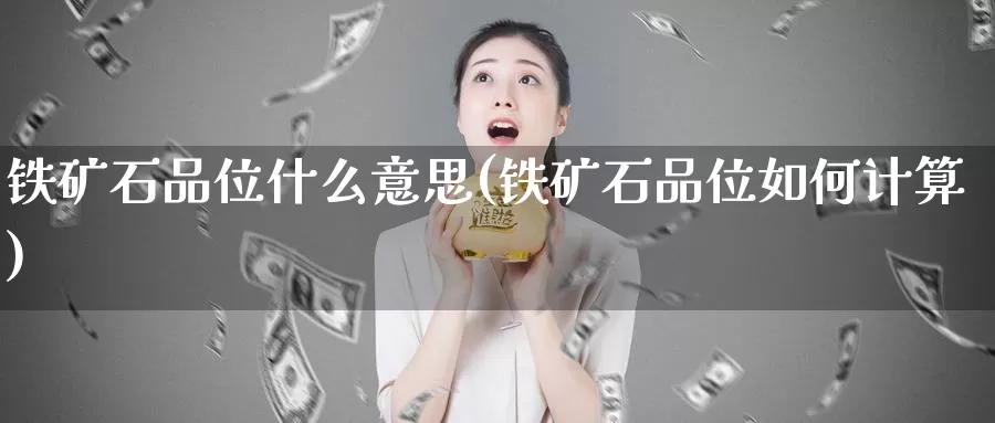 铁矿石品位什么意思(铁矿石品位如何计算)_https://www.zzcnk.com_内盘期货_第1张