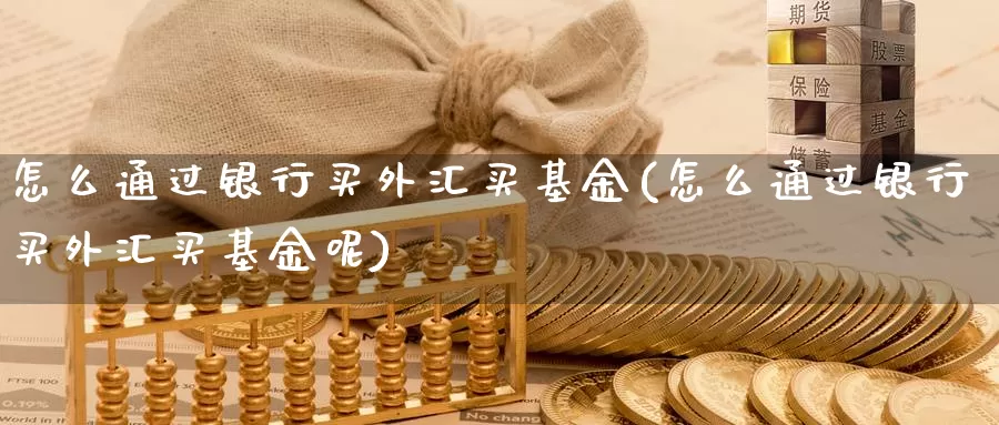 怎么通过银行买外汇买基金(怎么通过银行买外汇买基金呢)_https://www.zzcnk.com_基金_第1张
