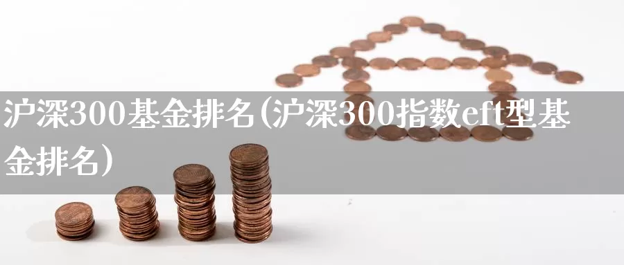 沪深300基金排名(沪深300指数eft型基金排名)_https://www.zzcnk.com_股指期货_第1张