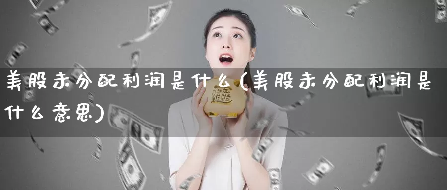 美股未分配利润是什么(美股未分配利润是什么意思)_https://www.zzcnk.com_理财_第1张