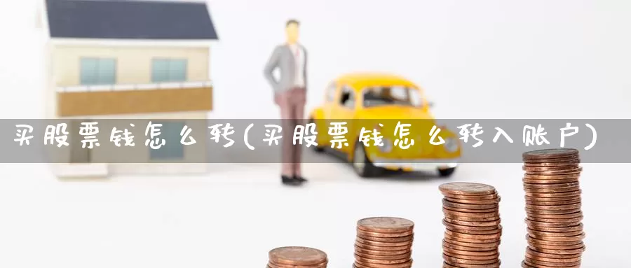 买股票钱怎么转(买股票钱怎么转入账户)_https://www.zzcnk.com_股票_第1张