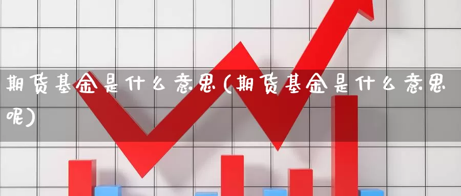 期货基金是什么意思(期货基金是什么意思呢)_https://www.zzcnk.com_期货_第1张