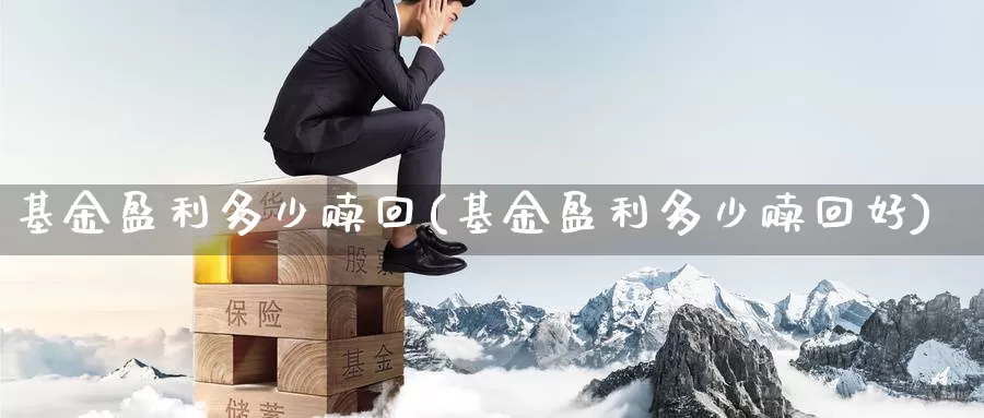 基金盈利多少赎回(基金盈利多少赎回好)_https://www.zzcnk.com_股票_第1张
