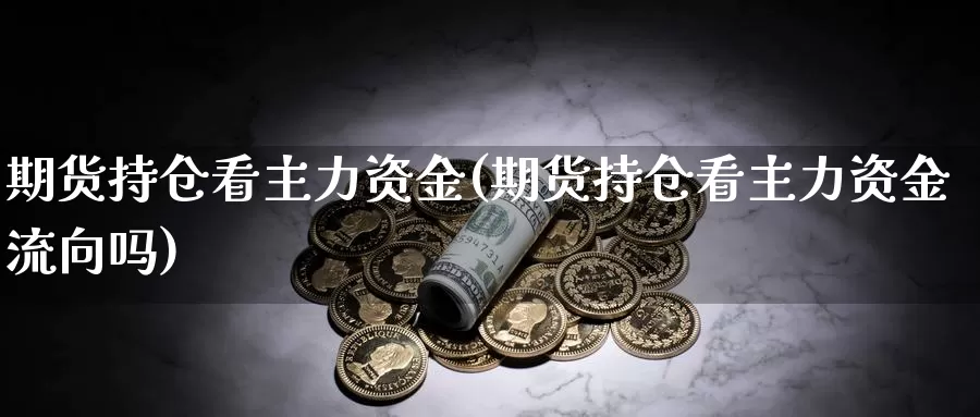 期货持仓看主力资金(期货持仓看主力资金流向吗)_https://www.zzcnk.com_纳指期货_第1张