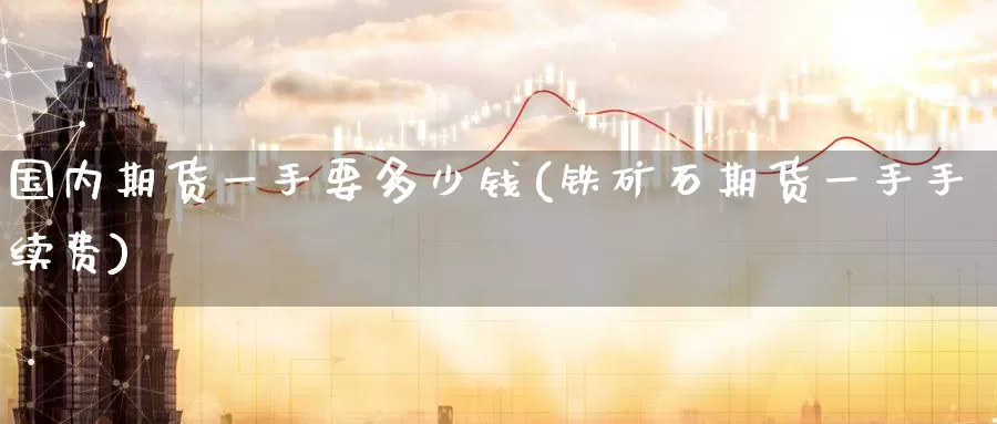 国内期货一手要多少钱(铁矿石期货一手手续费)_https://www.zzcnk.com_股指期货_第1张