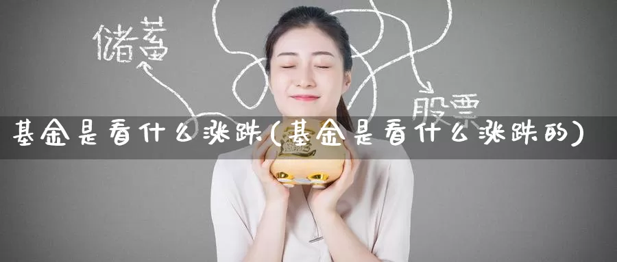 基金是看什么涨跌(基金是看什么涨跌的)_https://www.zzcnk.com_基金_第1张