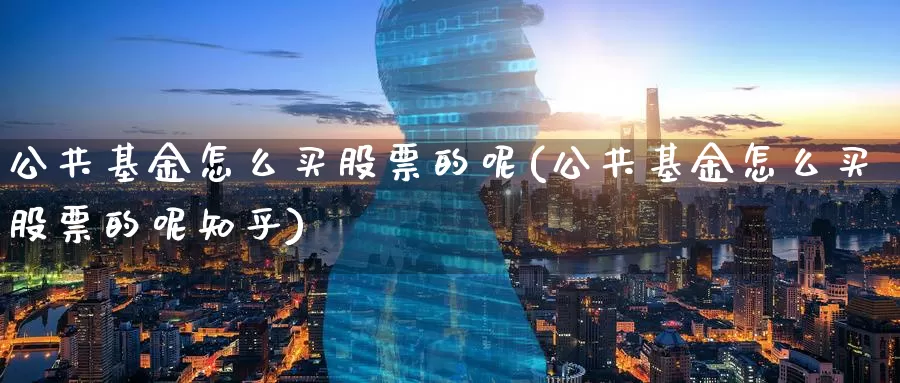 公共基金怎么买股票的呢(公共基金怎么买股票的呢知乎)_https://www.zzcnk.com_基金_第1张