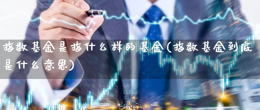 指数基金是指什么样的基金(指数基金到底是什么意思)_https://www.zzcnk.com_基金_第1张