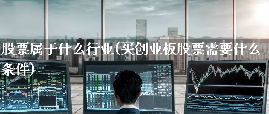 股票属于什么行业(买创业板股票需要什么条件)_https://www.zzcnk.com_内盘期货_第1张