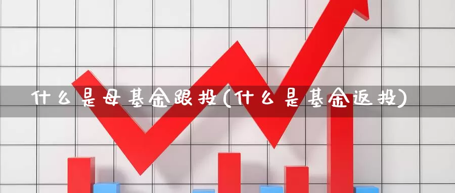 什么是母基金跟投(什么是基金返投)_https://www.zzcnk.com_基金_第1张