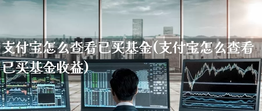 支付宝怎么查看已买基金(支付宝怎么查看已买基金收益)_https://www.zzcnk.com_基金_第1张