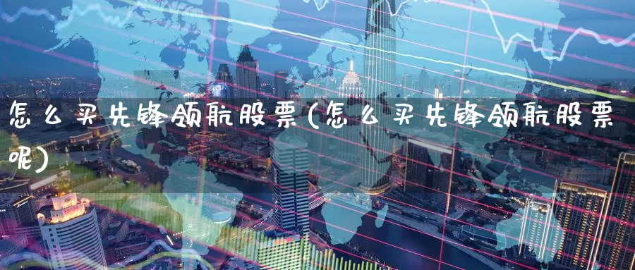 怎么买先锋领航股票(怎么买先锋领航股票呢)_https://www.zzcnk.com_股票_第1张