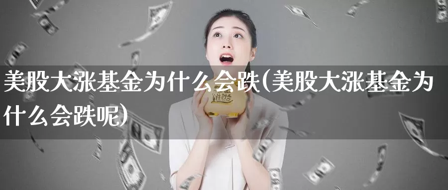 美股大涨基金为什么会跌(美股大涨基金为什么会跌呢)_https://www.zzcnk.com_理财_第1张