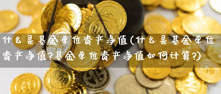 什么是基金单位资产净值(什么是基金单位资产净值?基金单位资产净值如何计算?)_https://www.zzcnk.com_基金_第1张