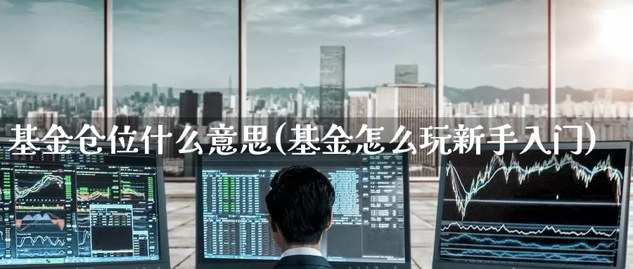 基金仓位什么意思(基金怎么玩新手入门)_https://www.zzcnk.com_理财_第1张