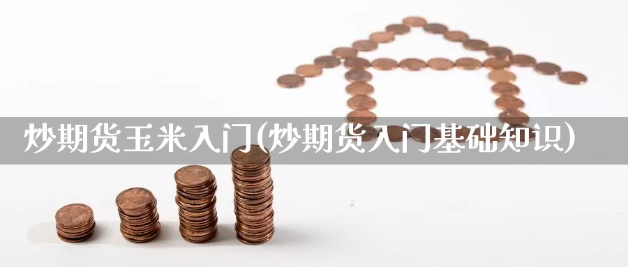 炒期货玉米入门(炒期货入门基础知识)_https://www.zzcnk.com_纳指期货_第1张