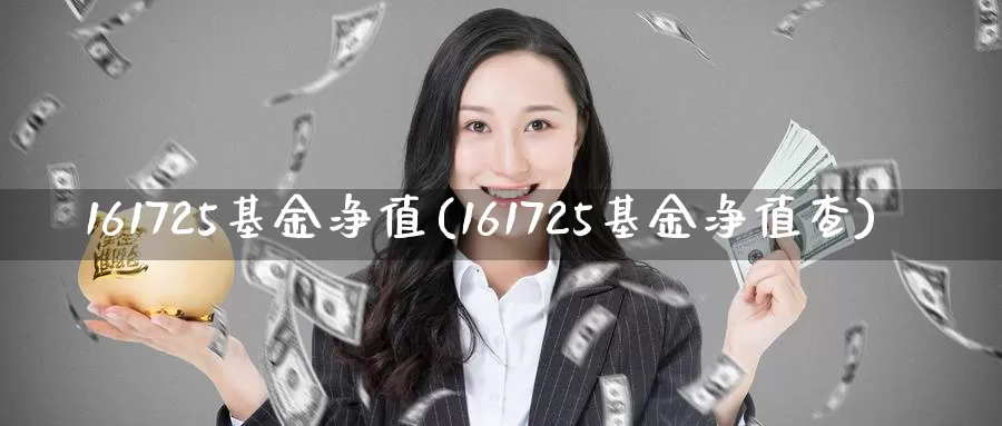 161725基金净值(161725基金净值查)_https://www.zzcnk.com_期货百科_第1张