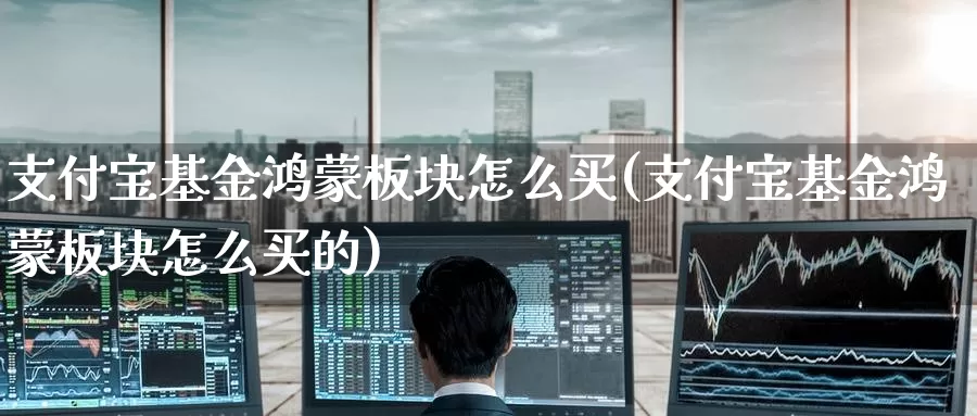 支付宝基金鸿蒙板块怎么买(支付宝基金鸿蒙板块怎么买的)_https://www.zzcnk.com_基金_第1张