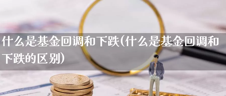 什么是基金回调和下跌(什么是基金回调和下跌的区别)_https://www.zzcnk.com_基金_第1张