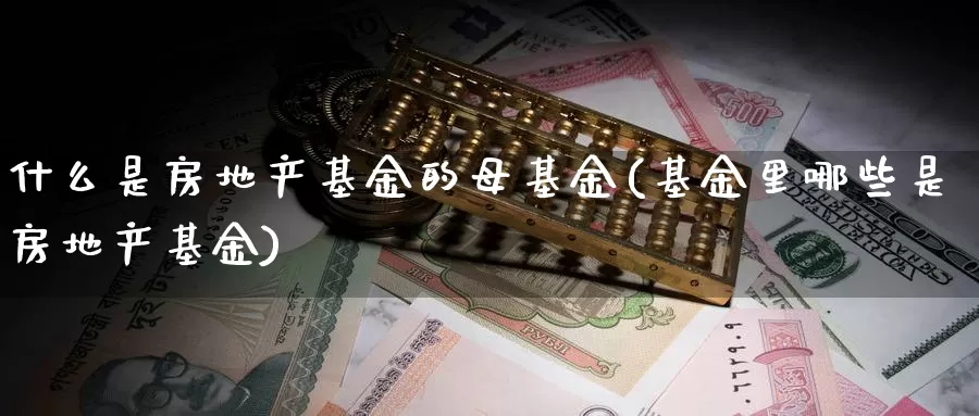 什么是房地产基金的母基金(基金里哪些是房地产基金)_https://www.zzcnk.com_基金_第1张