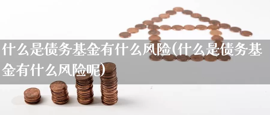 什么是债务基金有什么风险(什么是债务基金有什么风险呢)_https://www.zzcnk.com_基金_第1张