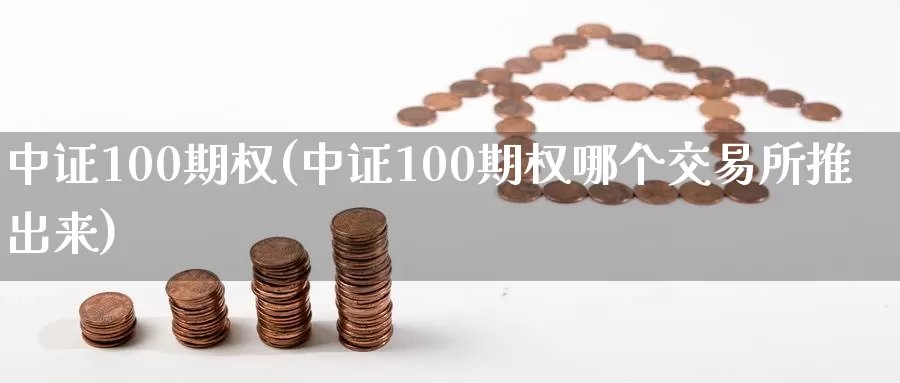 中证100期权(中证100期权哪个交易所推出来)_https://www.zzcnk.com_恒生指数_第1张