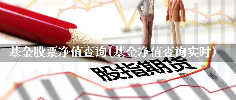 基金股票净值查询(基金净值查询实时)_https://www.zzcnk.com_理财_第1张