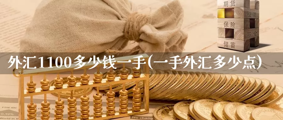 外汇1100多少钱一手(一手外汇多少点)_https://www.zzcnk.com_原油期货_第1张