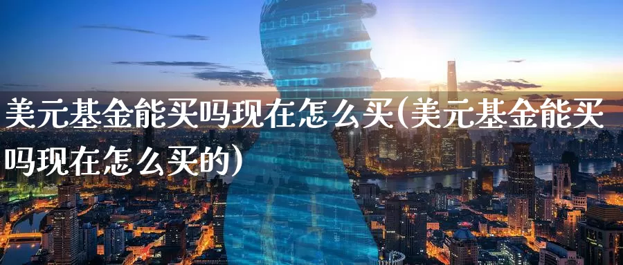 美元基金能买吗现在怎么买(美元基金能买吗现在怎么买的)_https://www.zzcnk.com_基金_第1张
