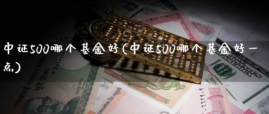 中证500哪个基金好(中证500哪个基金好一点)_https://www.zzcnk.com_内盘期货_第1张