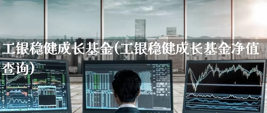 工银稳健成长基金(工银稳健成长基金净值查询)_https://www.zzcnk.com_期货_第1张