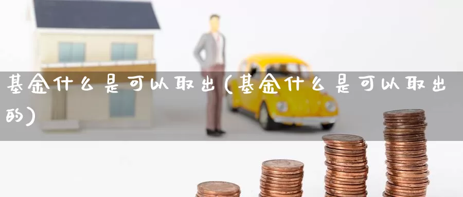 基金什么是可以取出(基金什么是可以取出的)_https://www.zzcnk.com_基金_第1张