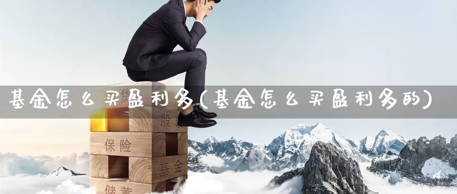 基金怎么买盈利多(基金怎么买盈利多的)_https://www.zzcnk.com_基金_第1张