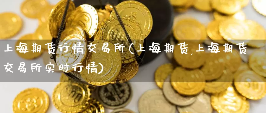 上海期货行情交易所(上海期货,上海期货交易所实时行情)_https://www.zzcnk.com_原油期货_第1张