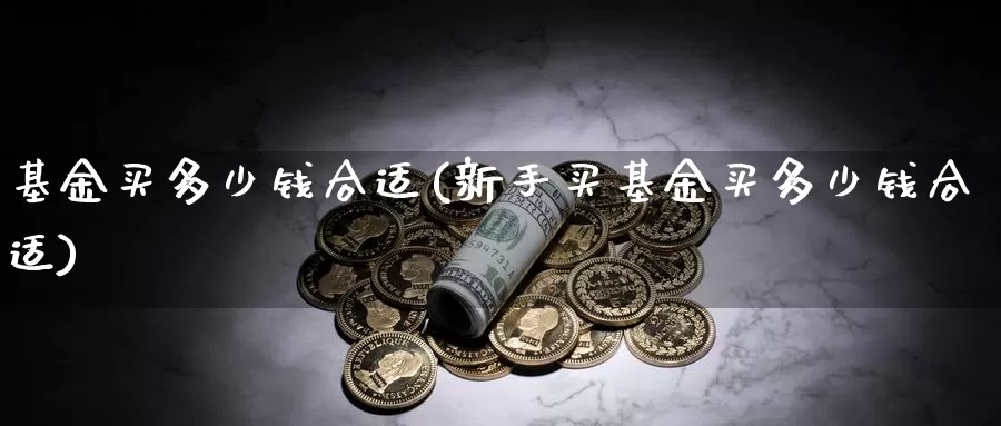 基金买多少钱合适(新手买基金买多少钱合适)_https://www.zzcnk.com_股票_第1张
