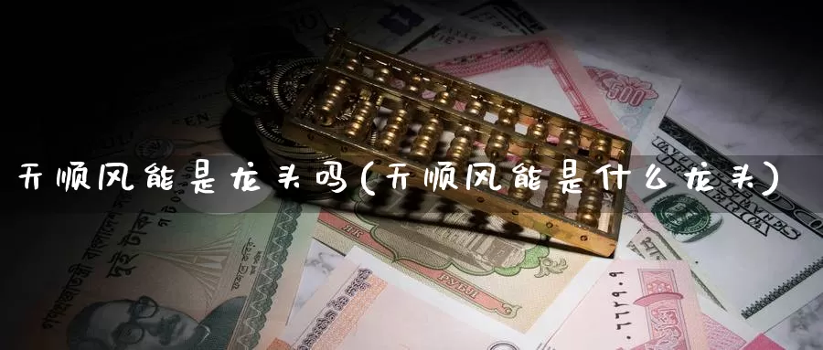 天顺风能是龙头吗(天顺风能是什么龙头)_https://www.zzcnk.com_内盘期货_第1张