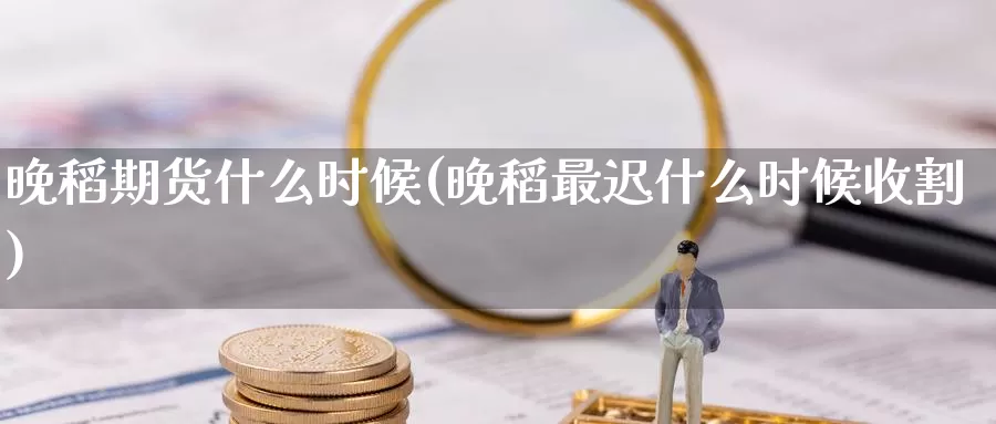晚稻期货什么时候(晚稻最迟什么时候收割)_https://www.zzcnk.com_原油期货_第1张