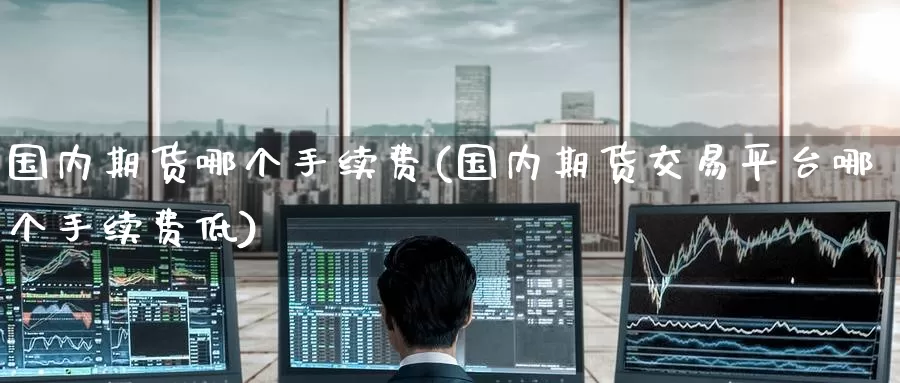国内期货哪个手续费(国内期货交易平台哪个手续费低)_https://www.zzcnk.com_基金_第1张