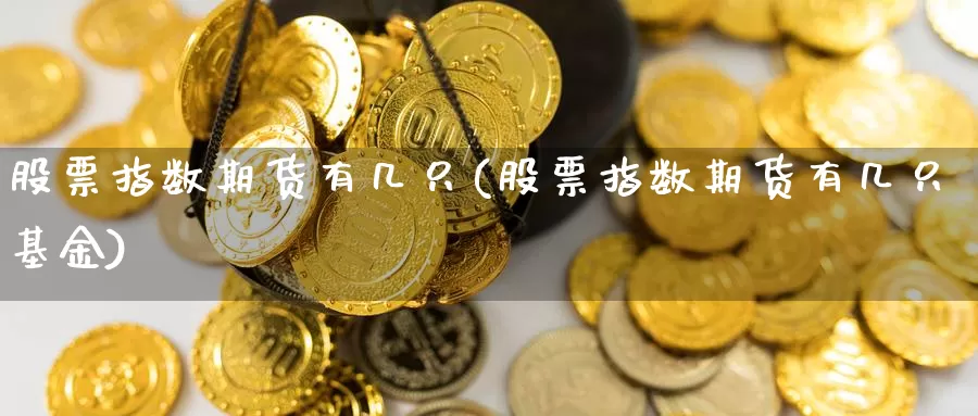 股票指数期货有几只(股票指数期货有几只基金)_https://www.zzcnk.com_恒生指数_第1张