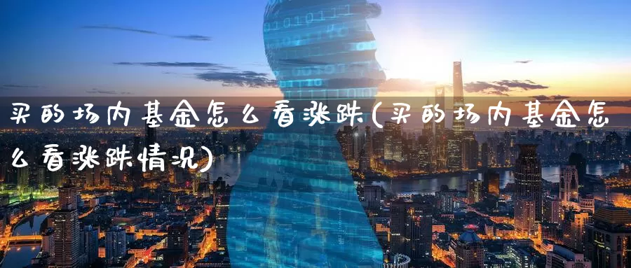 买的场内基金怎么看涨跌(买的场内基金怎么看涨跌情况)_https://www.zzcnk.com_基金_第1张