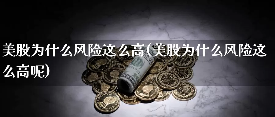 美股为什么风险这么高(美股为什么风险这么高呢)_https://www.zzcnk.com_理财_第1张