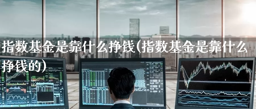 指数基金是靠什么挣钱(指数基金是靠什么挣钱的)_https://www.zzcnk.com_基金_第1张