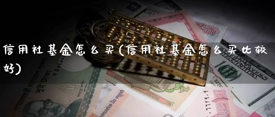 信用社基金怎么买(信用社基金怎么买比较好)_https://www.zzcnk.com_基金_第1张